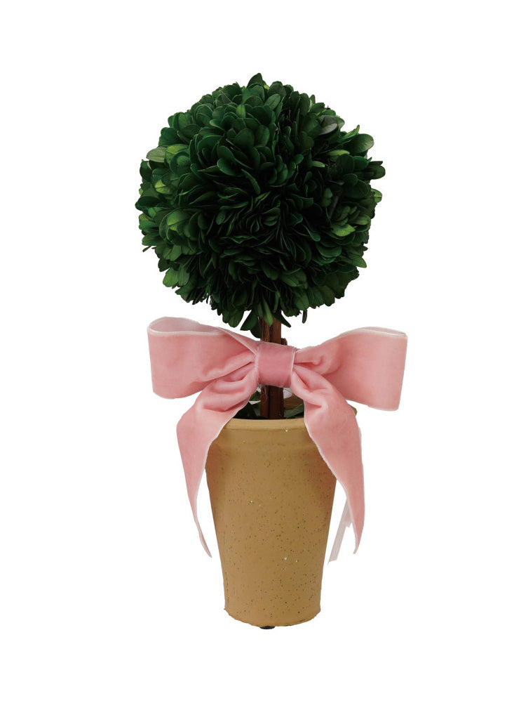 Dried Boxwood Tree in Pot with Pink Velvet Bow by Creative Co-op