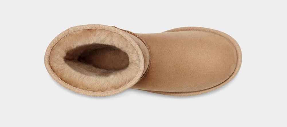 Classic Short II in Mustard Seed by UGG – Martin's