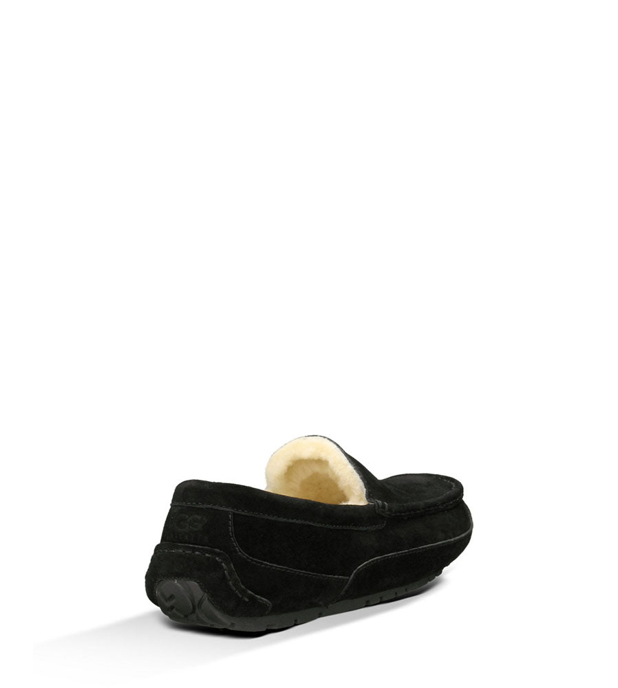 Ascot in Black by UGG