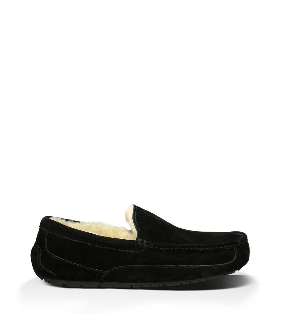 Ascot in Black by UGG