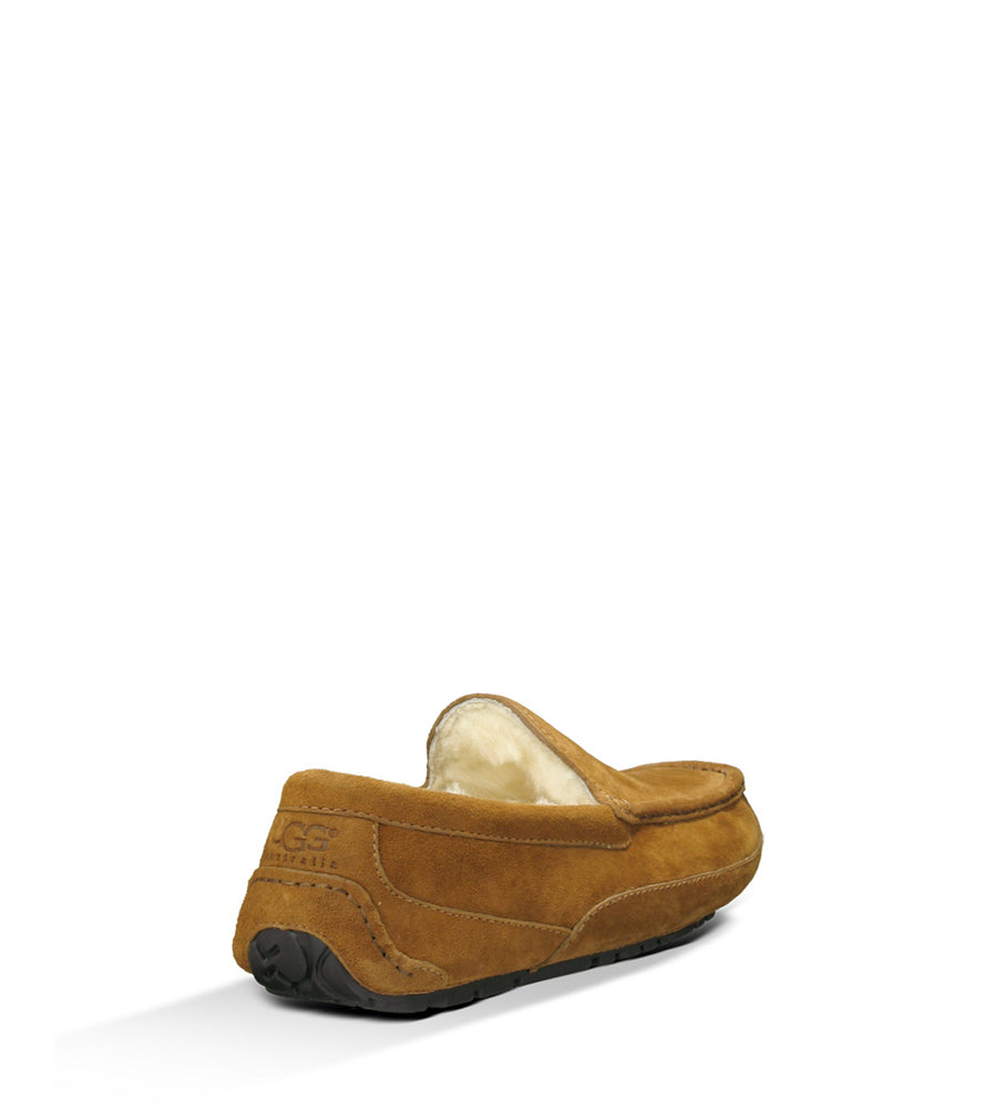 Ascot in Chestnut by UGG