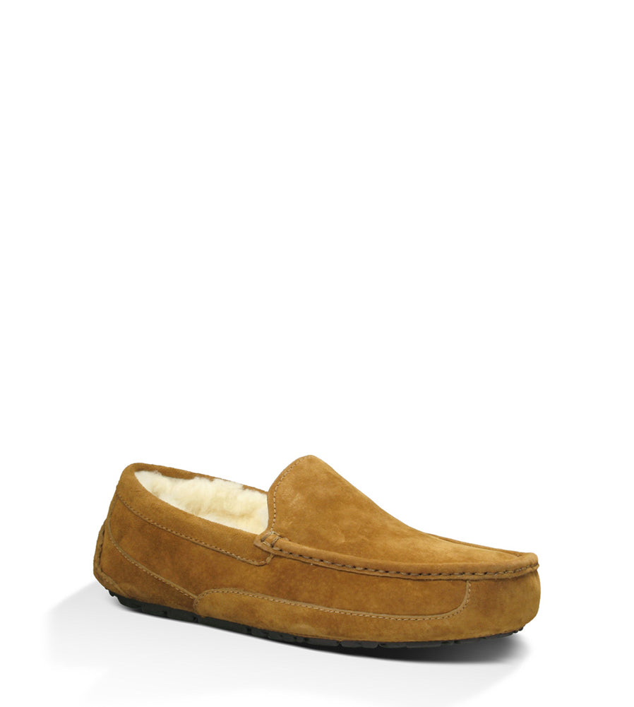 Ascot in Chestnut by UGG