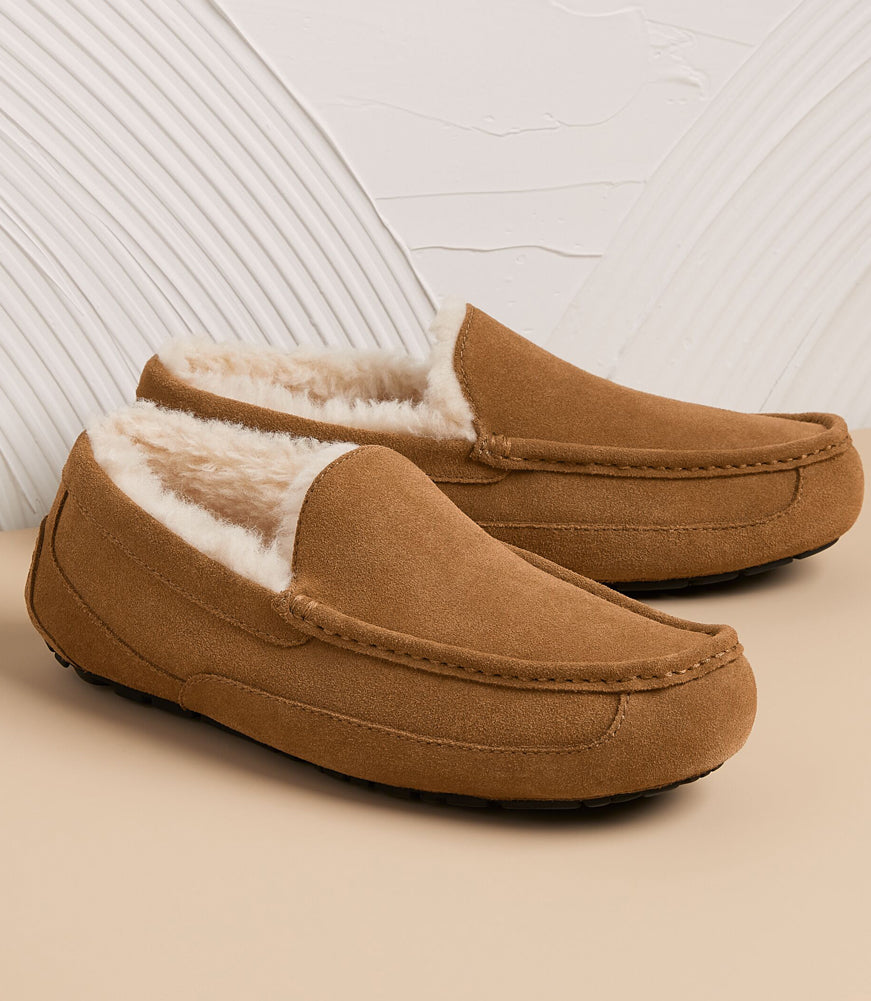 Ascot in Chestnut by UGG