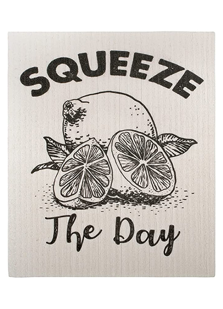 Squeeze Swedish Dish Cloth by Carson