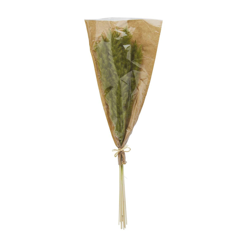Green Presereved Pampas Stems by Mud Pie