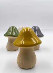 Asst Cottage Mushroom Décor by Youngs