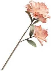 Flower Stem 17 by 47th & Main