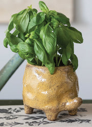 Stoneware Turtle Pot by Creative Co-op