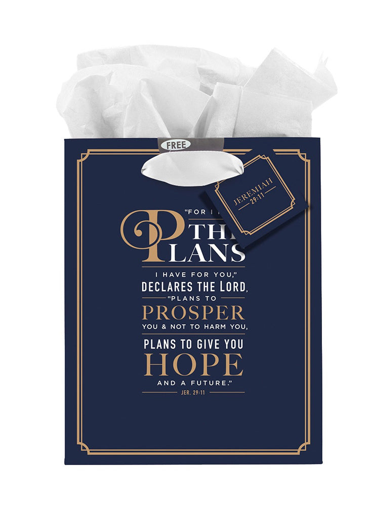 Gift Bag For I Know the Plans by Chrisitan Art Gifts