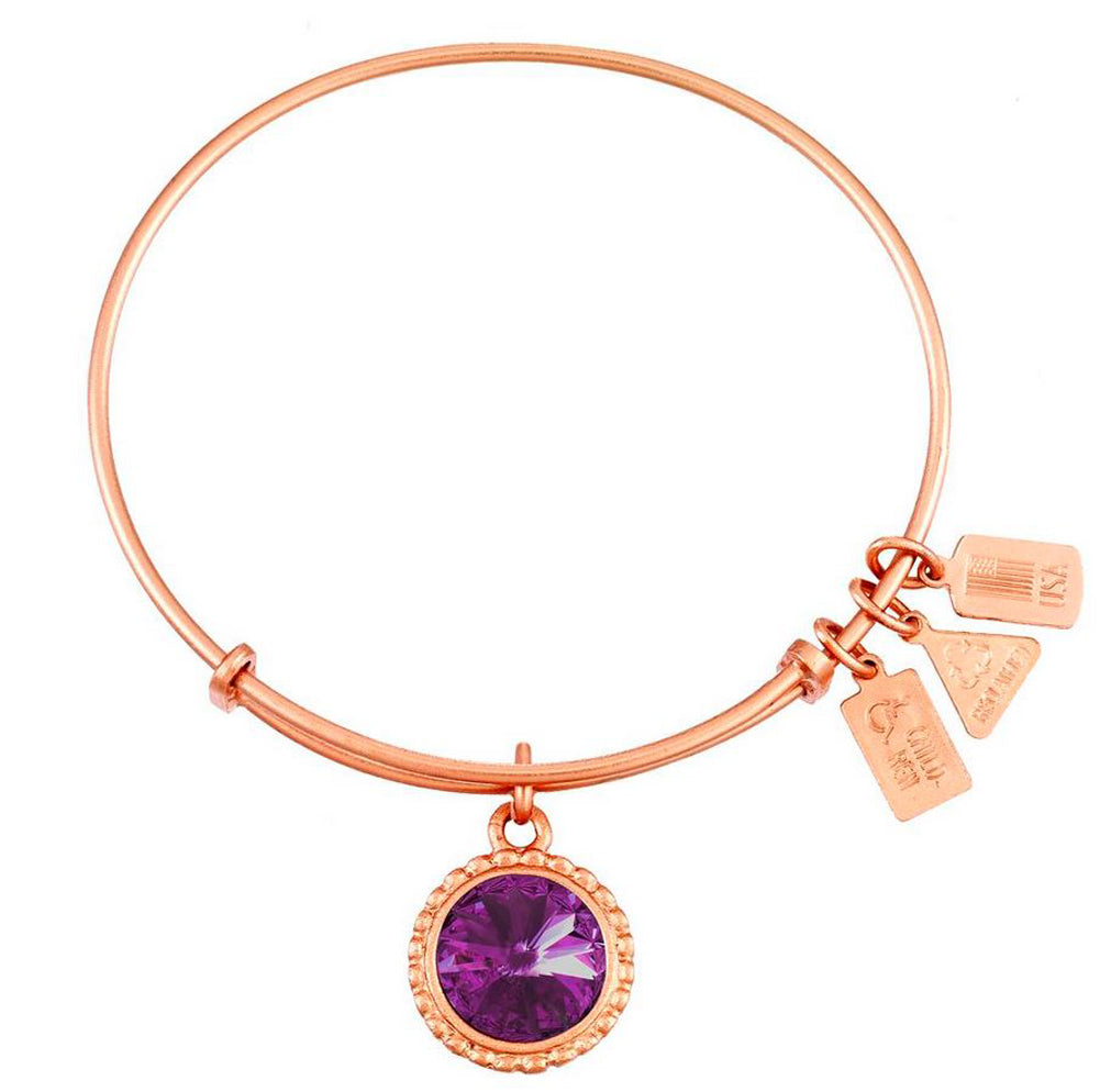 February Birthstone Bangle w/ Swarovski Crystal in Rose Gold by Wind & Fire